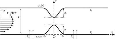 Newtonian heating effect in pulsating magnetohydrodynamic nanofluid flow through a constricted channel: A numerical study